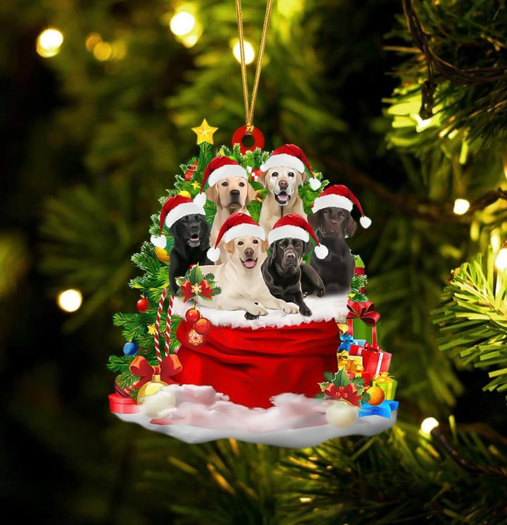 Labrador Retriever Dogs In Red Gift Bag Acrylic Ornament, Christmas Gift For Dog Lovers, Dog Mom