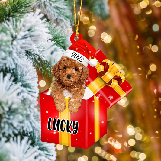 Customized Yellow Poodle In Red Gift Box Acrylic Ornament, Personalized Ornament Gifts For Christmas Dog Mom