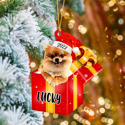 Customized Pomeranian In Red Gift Box Acrylic Ornament, Christmas Gift For Dog Lovers, Pet Lovers