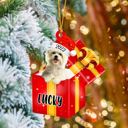 Customized Maltese Dog In Red Gift Box Acrylic Ornament, Customized Shih Tzu Dog In Cup Acrylic Ornament, Personalized Ornament Gifts For Christmas Dog Mom