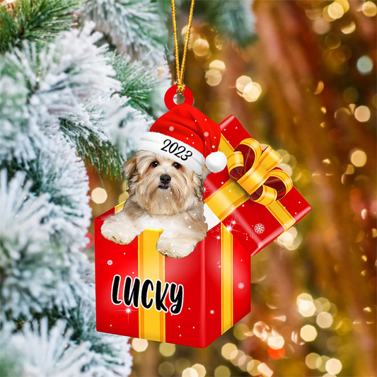 Personalized Havanese Dog In Red Gift Box Acrylic Ornament, Custom Ornament Gifts For Christmas Dog Mom