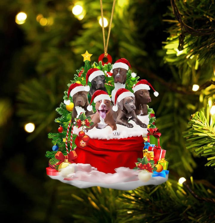 Pit Bull Dogs In Red Gift Bag Acrylic Ornament, Christmas Gift For Dog Lovers, Dog Mom