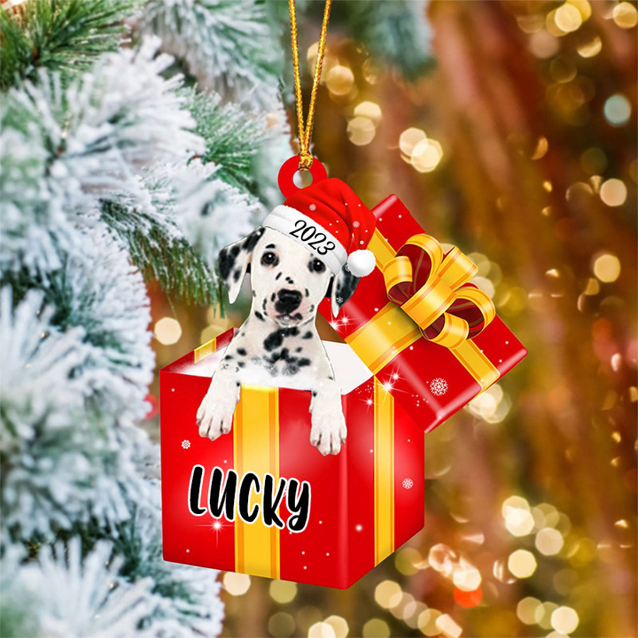 Personalized Dalmatian Dog In Red Gift Box Acrylic Ornament, Customized Ornament Gifts For Christmas Dog Mom