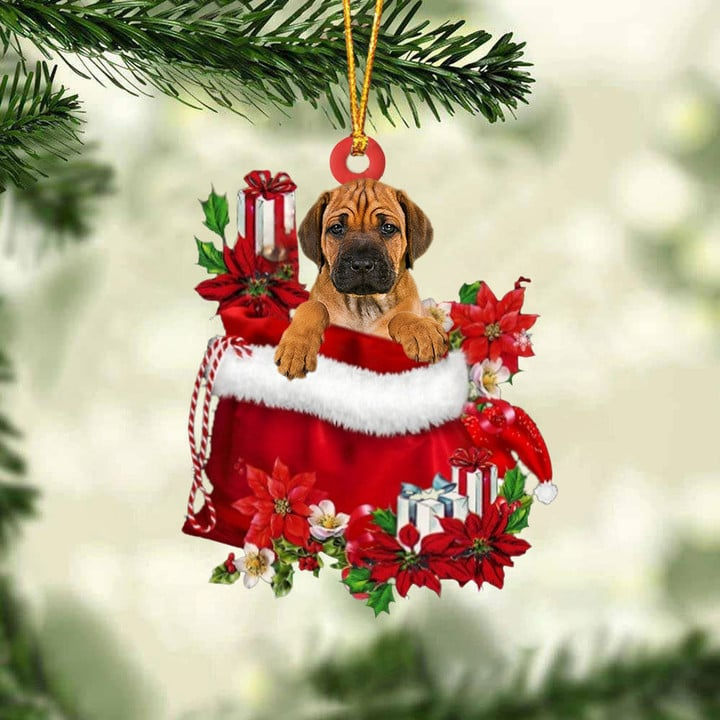 Customized Rhodesian Ridgeback Dog In Red Gift Bag Acrylic Ornament, Christmas Gift For Dog Lovers, Dog Mom