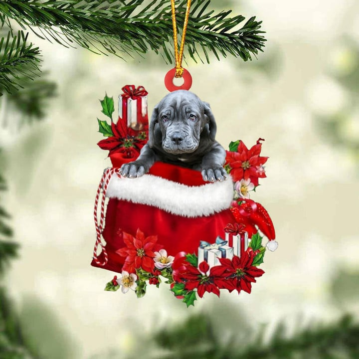 Customized Neapolitan Mastiff Dog In Red Gift Bag Acrylic Ornament, Christmas Gift For Dog Lovers, Dog Mom