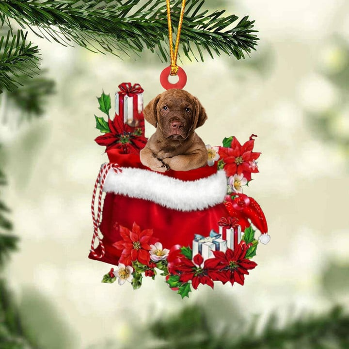 Customized Chesapeake Bay Retriever Dog In Red Gift Bag Acrylic Ornament, Christmas Gift For Dog Lovers, Dog Mom