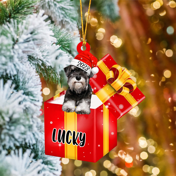 Customized Schnauzer In Red Gift Box Acrylic Ornament, Personalized Ornament Gifts For Christmas Dog Mom