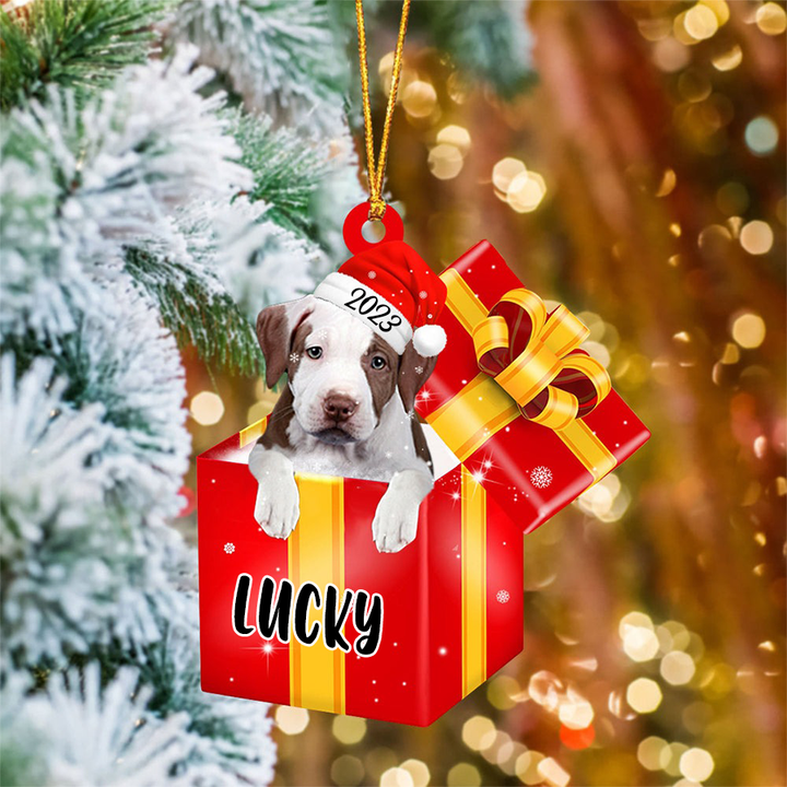 Customized Pit Bull In Red Gift Box Acrylic Ornament, Personalized Ornament Gifts For Christmas Dog Mom