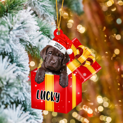 Customized Labrador Retriever In Red Gift Box Acrylic Ornament, Personalized Gifts For Christmas Dog Mom