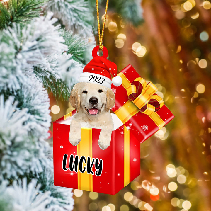 Customized Golden Retriever In Red Gift Box Acrylic Ornament, Personalized Ornament Gifts For Christmas Dog Mom