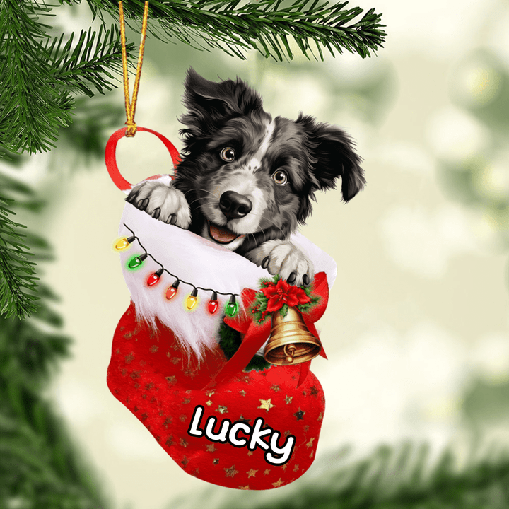 Personalized Border Collie In Christmas Stocking Acrylic Ornament, Christmas Gifts Ornament for Dog Lover