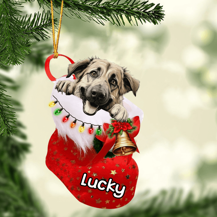 Personalized Anatolian Shepherd in Christmas Stocking Acrylic Ornament, Christmas Gifts Ornament for Dog Lover