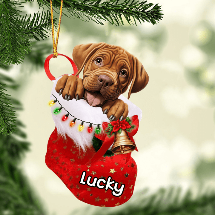 Customized Awesome Dogue de Bordeaux In Christmas Stocking Acrylic Ornament, Christmas Gifts Ornament for Dog Lover