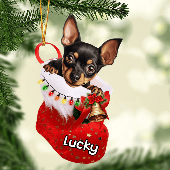 Customized Miniature Pinscher Dog In Christmas Stocking Acrylic Ornament, Christmas Gifts Ornament for Dog Lover