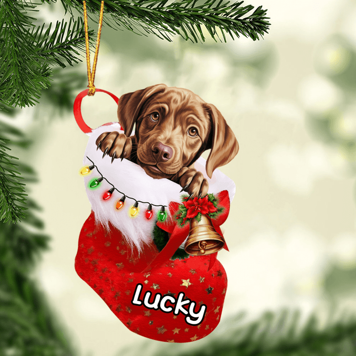 Customized Awesome Labrador Retriever Dog In Christmas Stocking Acrylic Ornament, Christmas Gifts Ornament for Dog Lover