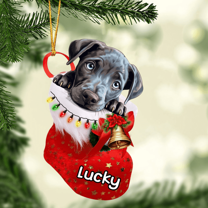 Personalized Blue Lacy Christmas Stocking Acrylic Ornament,  Christmas Gifts Ornament for Dog Lover