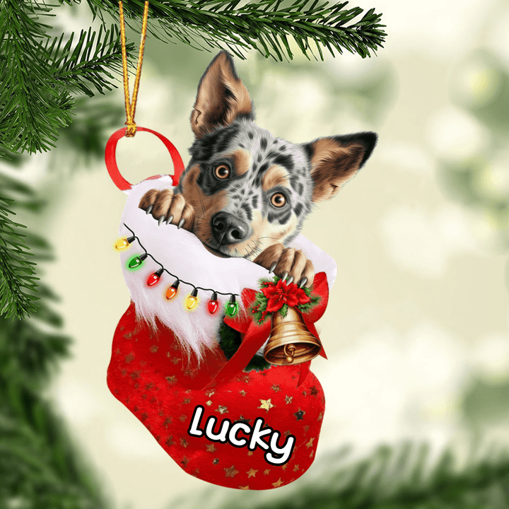 Personalized Australian Cattle Dog in Christmas Stocking Acrylic Ornament, Christmas Gifts Ornament for Dog Lover