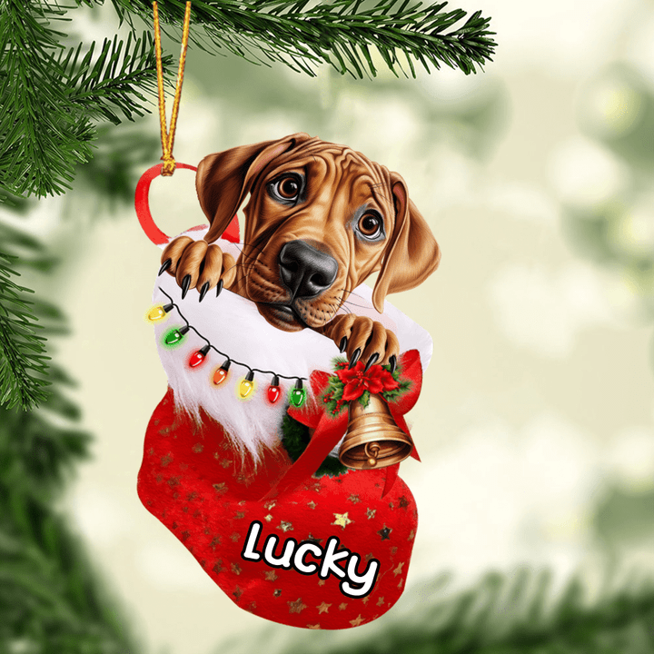 Customized Rhodesian Ridgeback Dog In Christmas Stocking Acrylic Ornament, Christmas Ornament for Dog Lover