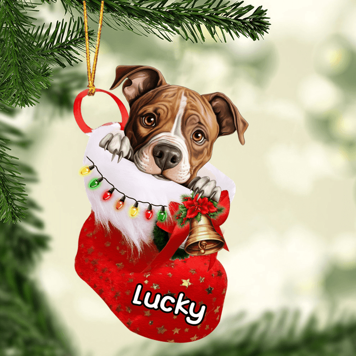 Personalized American Staffordshire Terrier in Christmas Stocking Acrylic Ornament, Christmas Gifts Ornament for Dog Lover