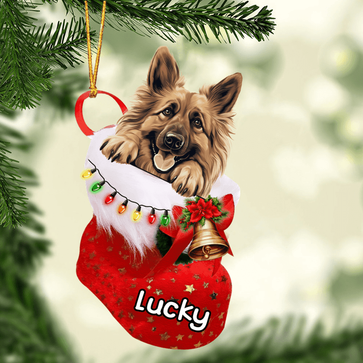 Personalized Belgian Tervuren in Christmas Stocking Acrylic Ornament, Christmas Gifts Ornament for Dog Lover