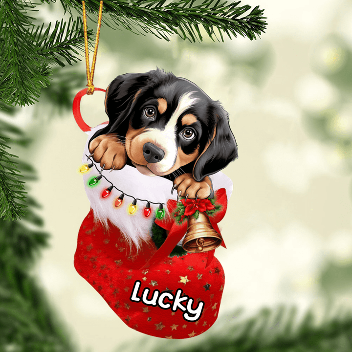 Customized Entlebucher Mountain Dog In Christmas Stocking Acrylic Ornament, Christmas Acrylic Ornament for Dog Lover