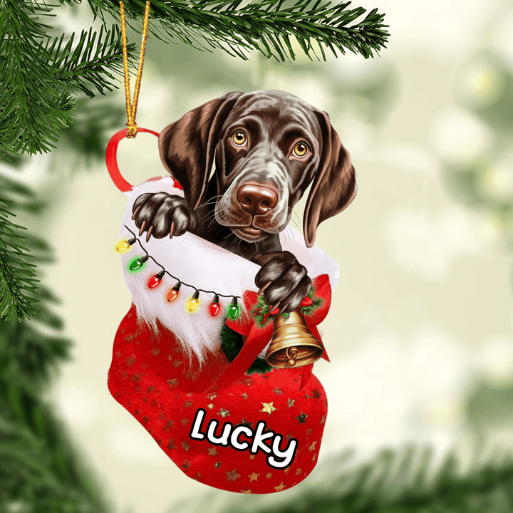 Customized German Shorthaired Pointer Dog In Christmas Stocking Acrylic Ornament, Christmas Gifts Ornament for Dog Lover