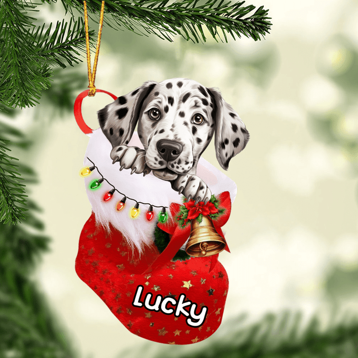 Customized Awesome Dalmatian Dog In Christmas Stocking Acrylic Ornament, Christmas Gift Ornament for Dog Lover