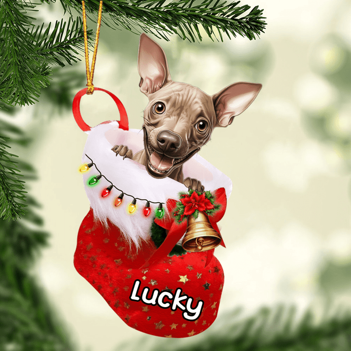 Personalized American Hairless Terrier in Christmas Stocking Acrylic Ornament, Christmas Gifts Ornament for Dog Lover