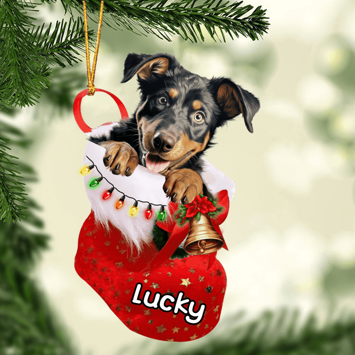 Personalized Beauceron Dog in Christmas Stocking Acrylic Ornament, Christmas Gifts Ornament for Dog Lover