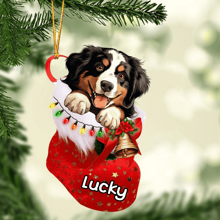 Personalized Bernese Mountain in Stocking Acrylic Christmas Ornament, Christmas Gifts Ornament for Dog Lover