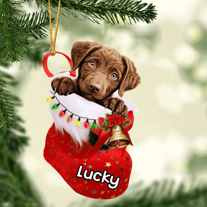 Personalized Chesapeake Bay Retriever In Christmas Stocking Acrylic Ornament, Christmas Gifts Ornament for Dog Lover