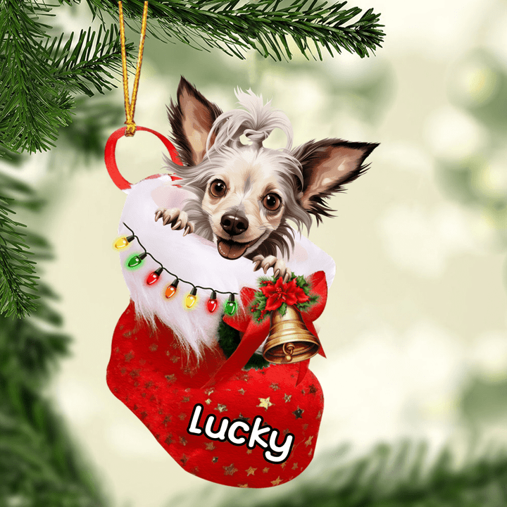 Personalized Chinese Crested In Christmas  Stocking Acrylic Ornament, Christmas Gifts Ornament for Dog Lover