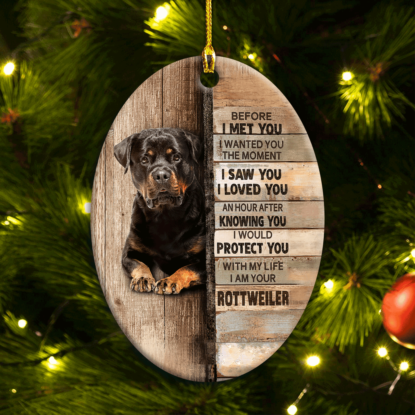 Rottweiler Oval Ceramic Ornament- Rottweiler Painting, Bible Oval Ceramic Ornament- Gift For Rottweiler Lover- I Would Protect You With My Life