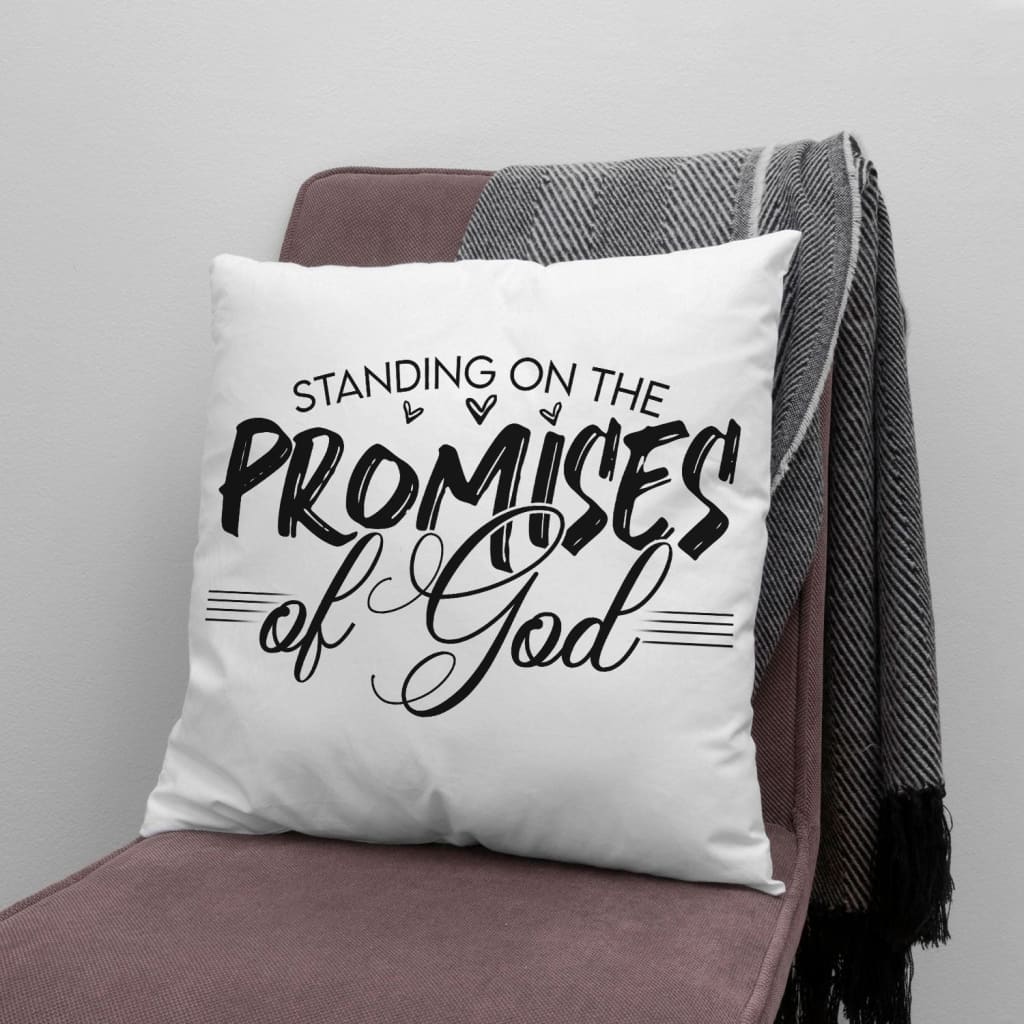 Jesus Pillow - Christian pillows: Standing on the promises of God pillow