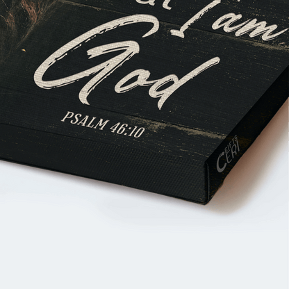 Jesus Landscape Canvas - Lion painting, Be still and know that I am God PSALM 46:10  Landscape Canvas - Gift For Christian  Landscape Canvas